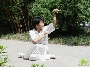 类别很多,如形意拳有以蛇形为动作的拳路;少林拳有以蛇形为主的蛇拳