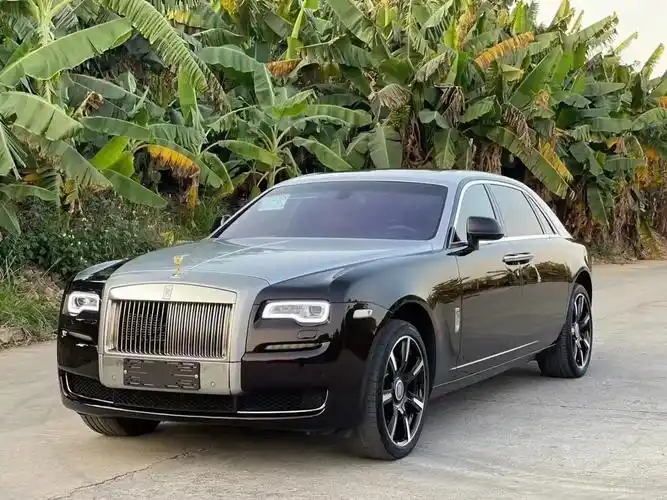 【1xx万】 18款劳斯莱斯古斯特加长版二代 飞翔小金人 6 - 抖音