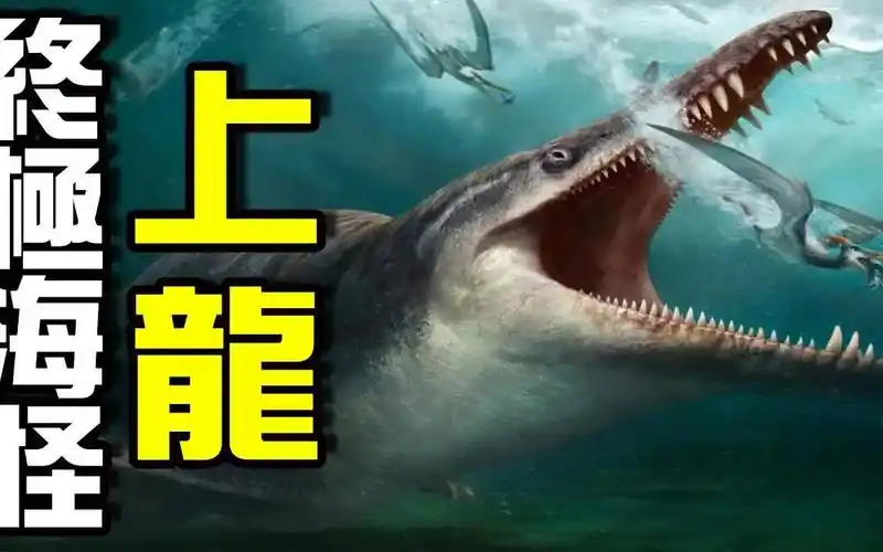 上龙:请叫我龙上之龙王