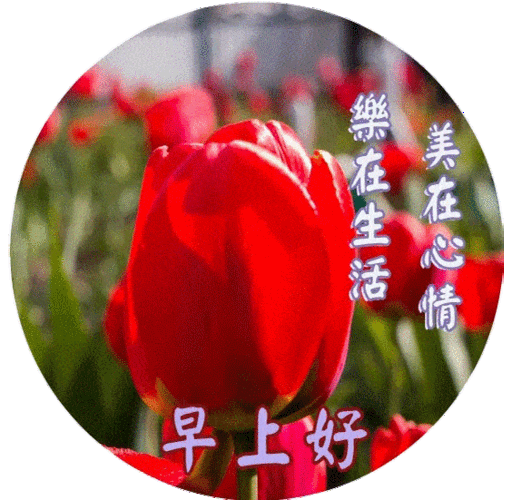 早上好问候美图早安问候语句