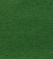 这才是墨绿色吧.这种颜色很亮,绝不是墨绿那种暗的颜色.