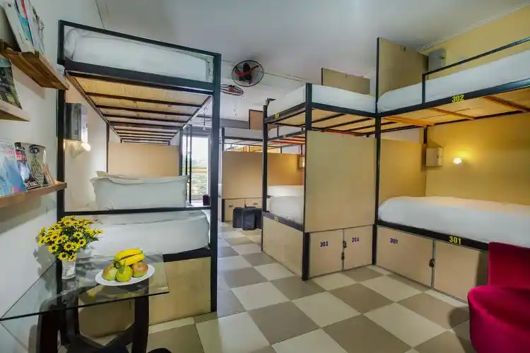 混合高级宿舍 (superior mixed dormitory)