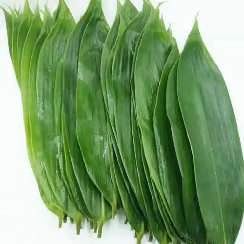 新鲜大粽叶江西现摘粽子叶真空棕叶箬叶100片 100片 粽绳 2斤糯米