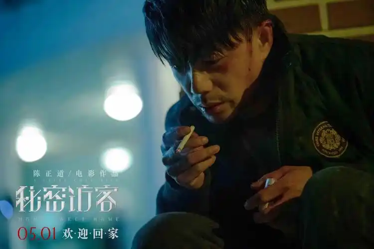 秘密访客最后的真相到底是什么