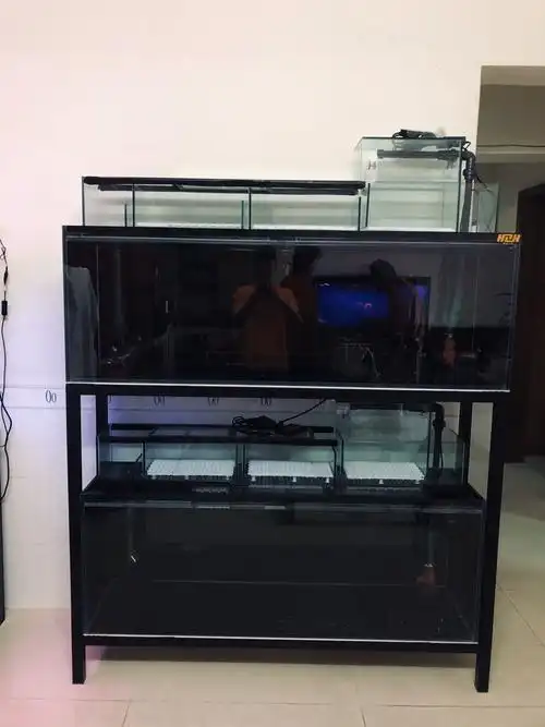 简约系双层组缸·顺德鱼头第二套定制 - 辉煌水族 - 龙鱼之巅