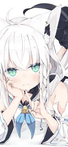 白上吹雪 小狐狸