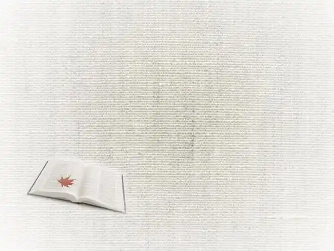 简洁书本-ppt课件 .ppt 2页