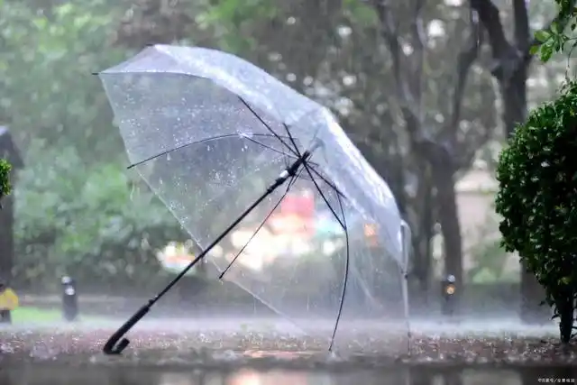 小雨伞保险"生死拍档"内讧?
