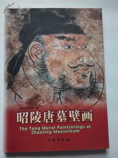 本书收入了杨温墓壁画,长乐公主墓壁画,李思摩