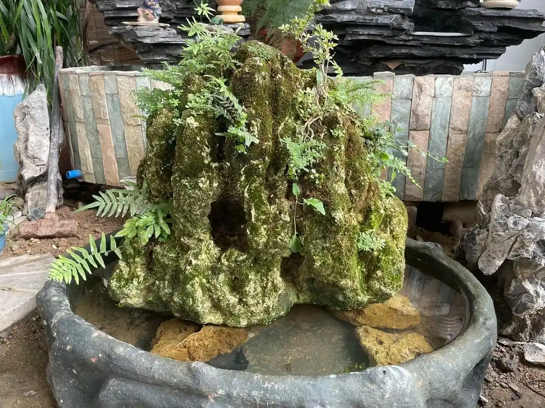 天然造型吸水石#假山流水 #精品盆景 #植物造景微景观 - 抖音