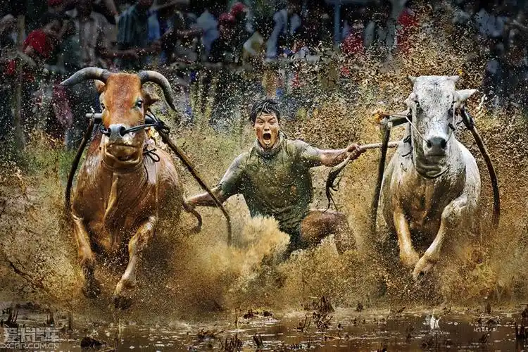 2010全球摄影师大赛中国赛区获奖作品