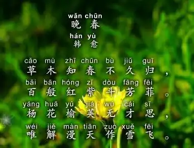 晚春韩愈唐诗原文阅读翻译赏析