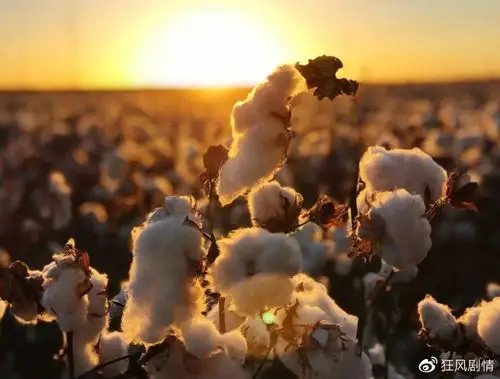 乌合麒麟又出新画作细节包含耐克hm美国黑奴网友内容太绝了