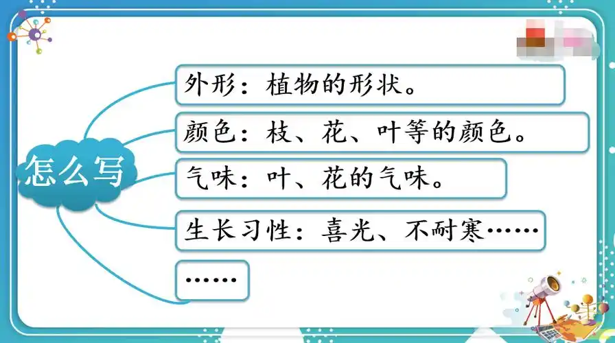 教育教学|三下习作1—我的植物朋友