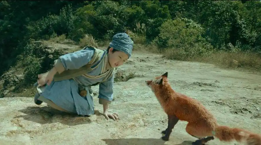 (赤狐书生)影评