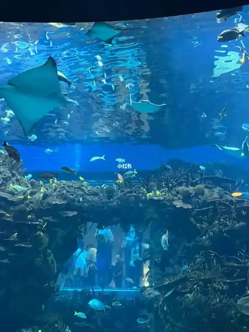 北京海洋馆