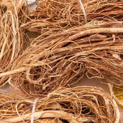 河源五指毛桃根七指毛桃牛奶树根 产地批发 味道香浓煲汤汤料 整捆