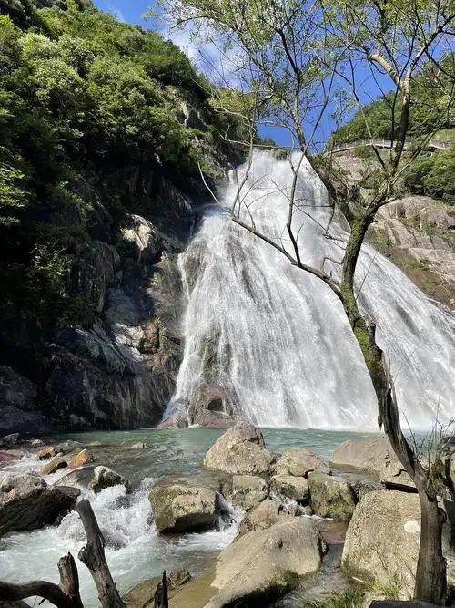 云深不知处打卡