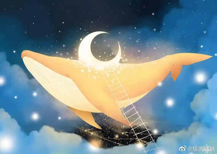 星光里的鲸鱼插画师hatmong