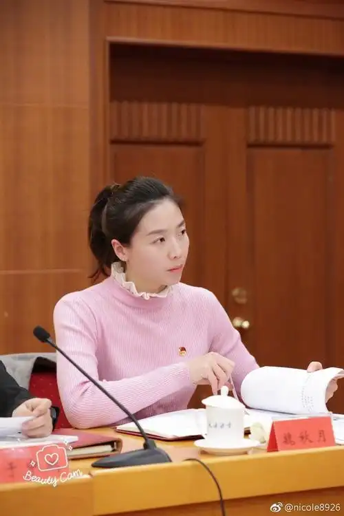 魏秋月出席共青团会议知性优雅_高清图集_新浪网