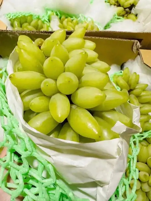 玉指青提又一个形状奇特的提子