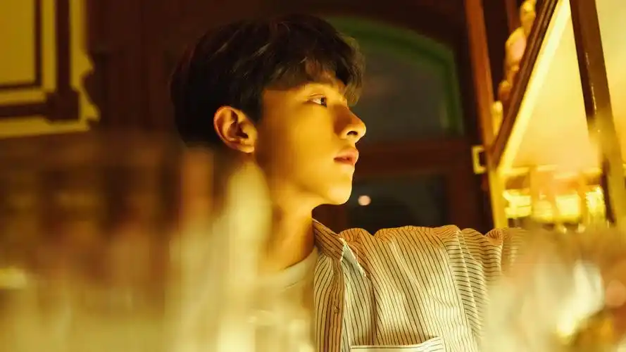 暖萌大男孩林一