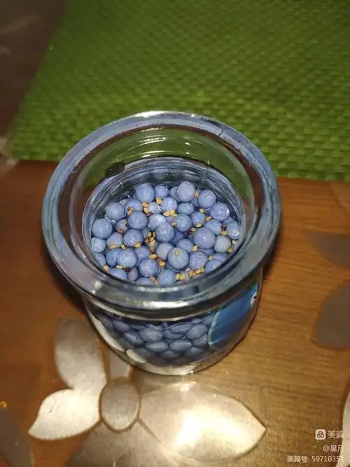 追云草的种子黄黄的,又小又扁,形状好像芝麻.