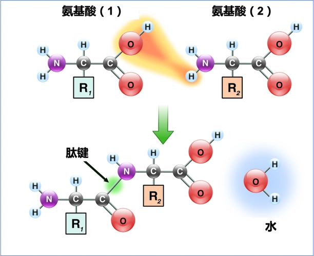科普中国网_让科技知识在网上和生活中流行