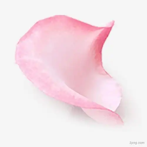 漂浮花瓣装饰png素材透明免抠图片-节日元素