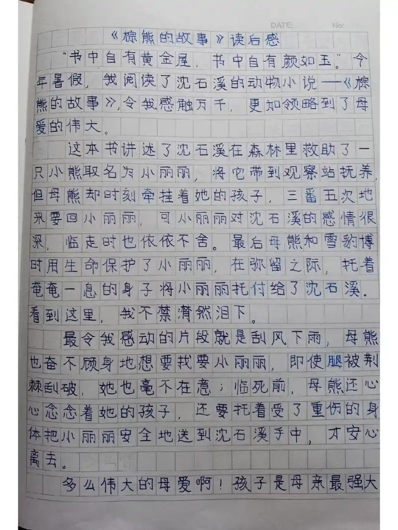 《棕熊的故事》读后感 #小学作文# #五年级语文# #五年级作文