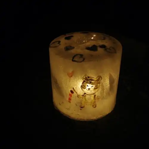 自己做的冰灯72