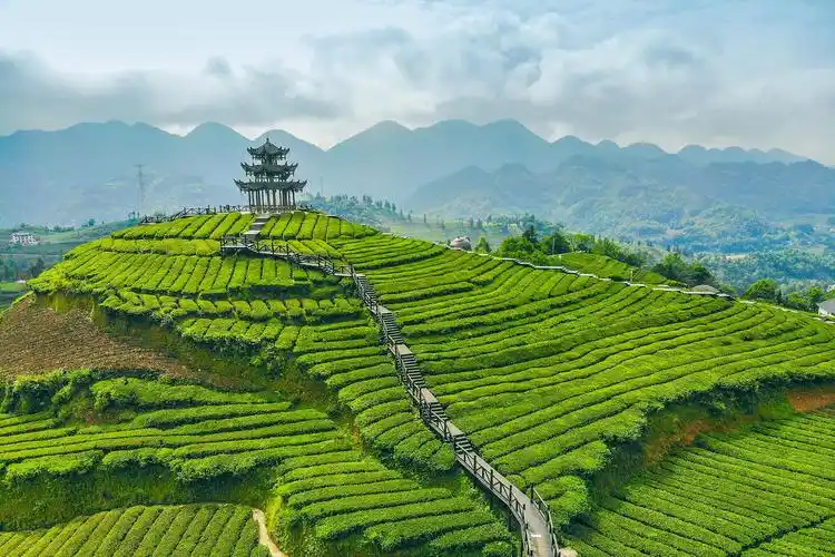 长兴旅游景点推荐 位于浙江湖州的长兴,拥有丰富的旅游资源,从湖光山