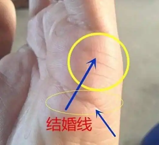 有酒窝的女孩子易找男友学搭配运势,看手相怎么能看出自己有几段婚姻