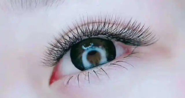 2.睫毛y型他是比较长的一种,而三叶草的就是自然的那一种.