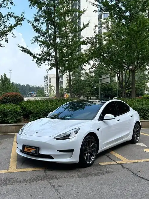 特斯拉model377钢琴白pet