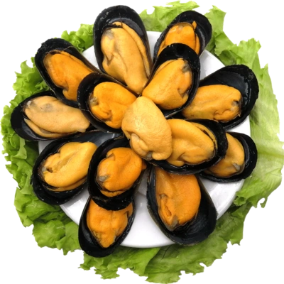 星渔鲜活海虹海鲜水产贻贝蓝口贝青口贝淡菜山东日照特产1份2.