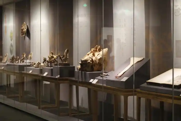 本次展览集合海南省博物馆馆藏极品沉香及文物110件套,南京博物院馆藏