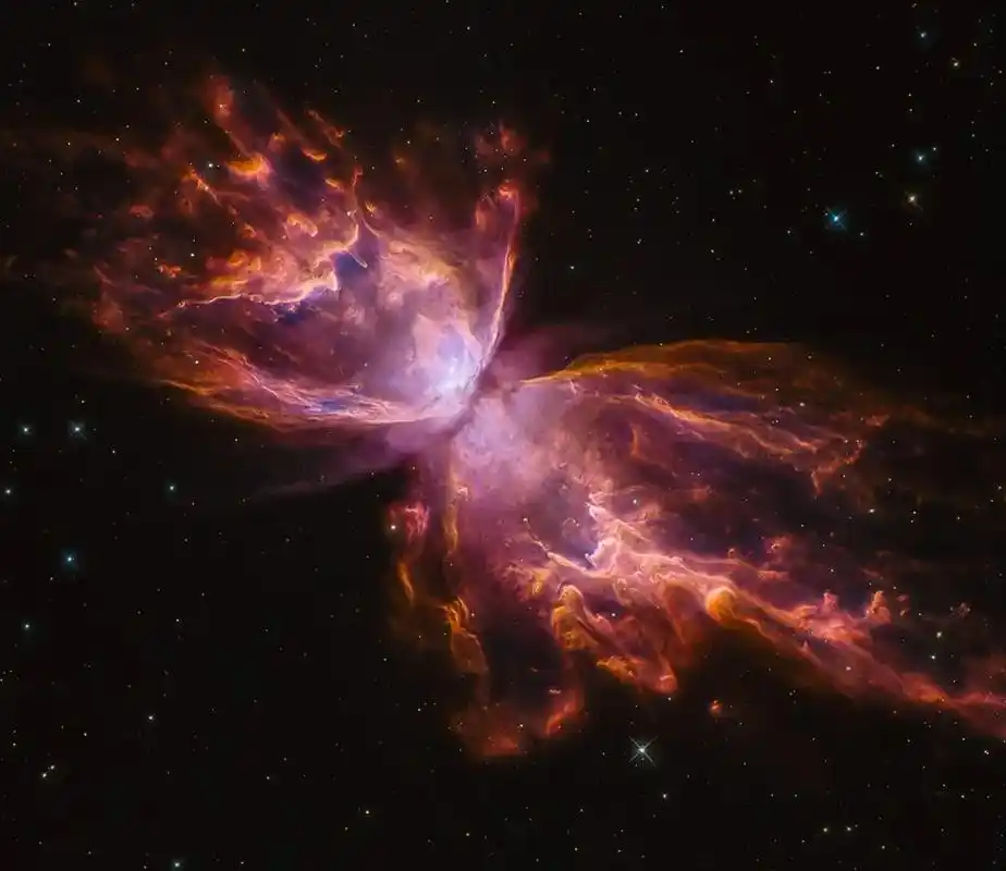 蝴蝶星云(m2-9)(papillon nebula)和ng - 抖音