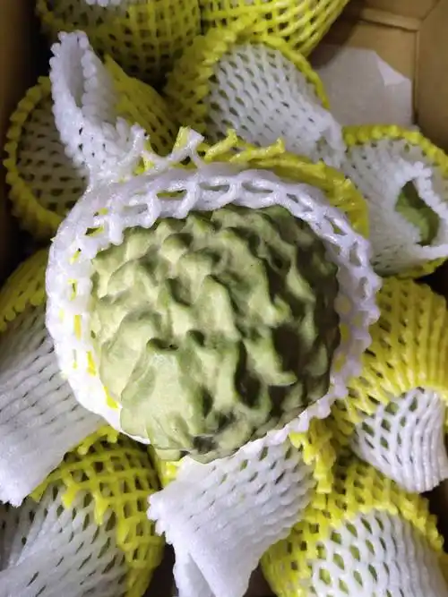 台湾释迦 650-750g