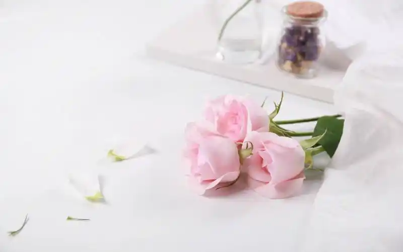 清新淡雅粉色花卉图片桌面壁纸