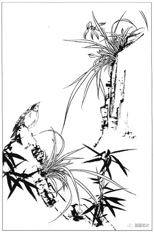 花鸟鱼虫白描画谱分享(3)