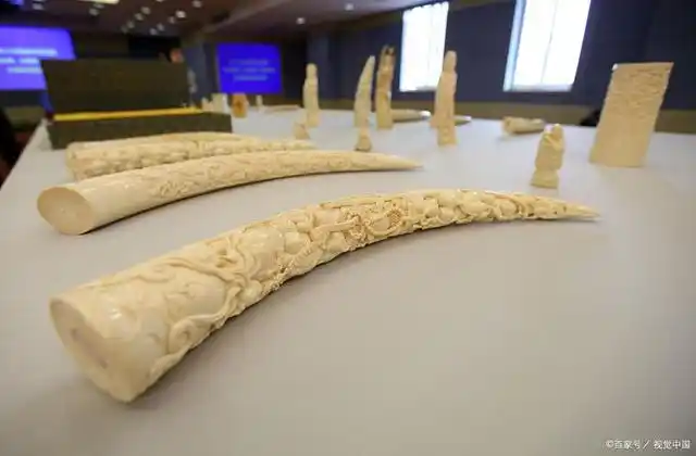 象牙制品真伪判断