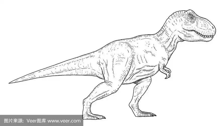 手,霸王龙,草图,绘画插图,恐龙