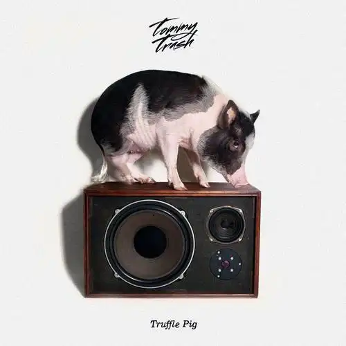 truffle pig_tommy trash_高音质在线试听_truffle pig歌词|歌曲下载