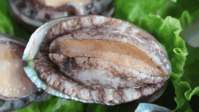 400_225gif 动态图 动图