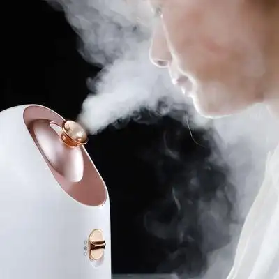 家用冷热双喷蒸脸器蒸脸仪脸部补水喷雾器热喷美容院专用美容喷雾机