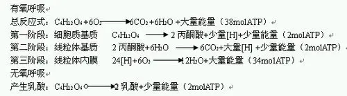 求无氧呼吸方程式