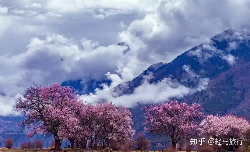 2021 年春天,有哪些旅游的好地方? - 知乎