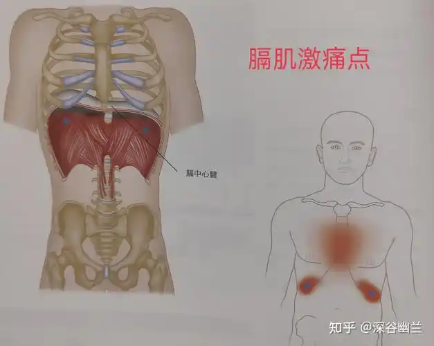 胸部疼痛居家调养