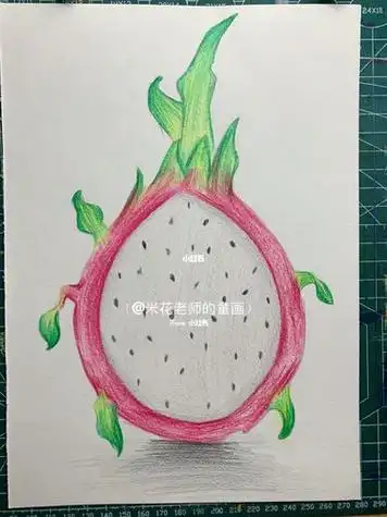 火龙果的简笔画 火龙果的简笔画怎么画